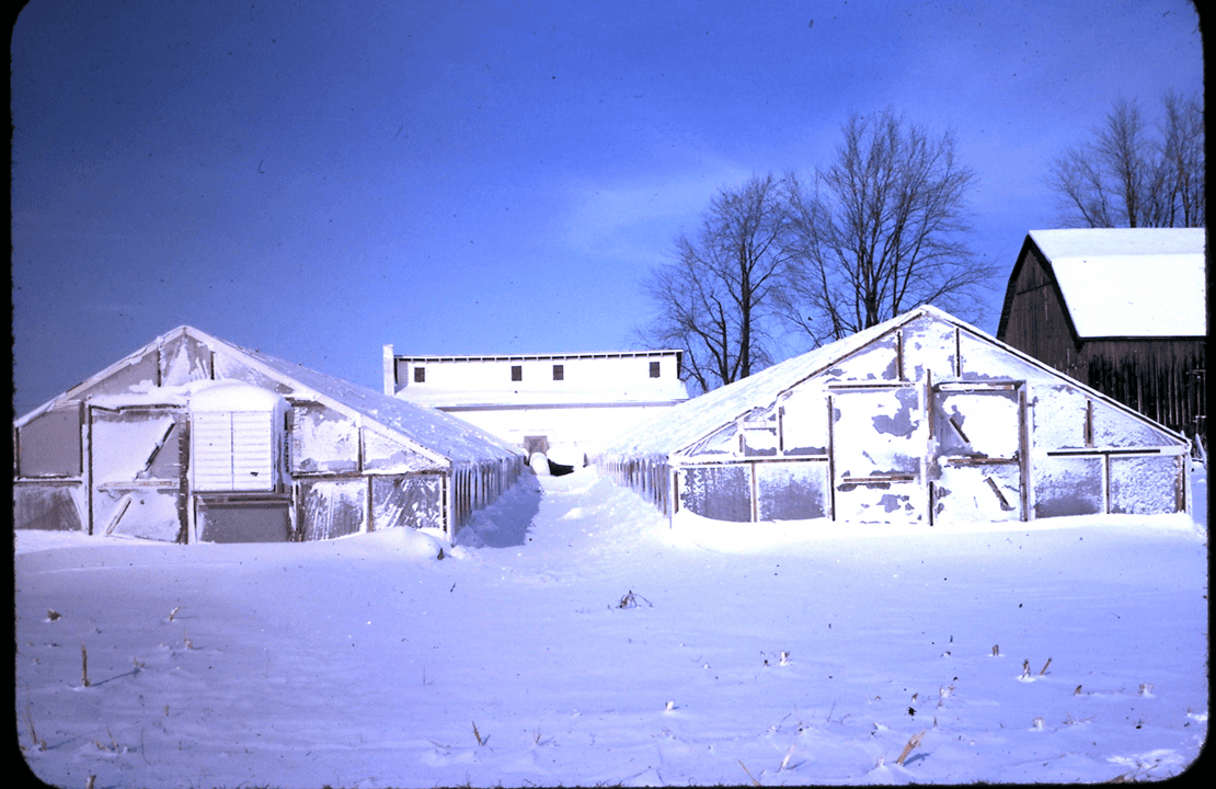 1st-and-2nd-greenhouse
