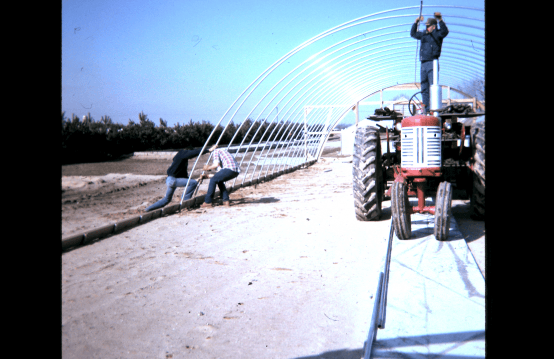 Putting up a hoop house