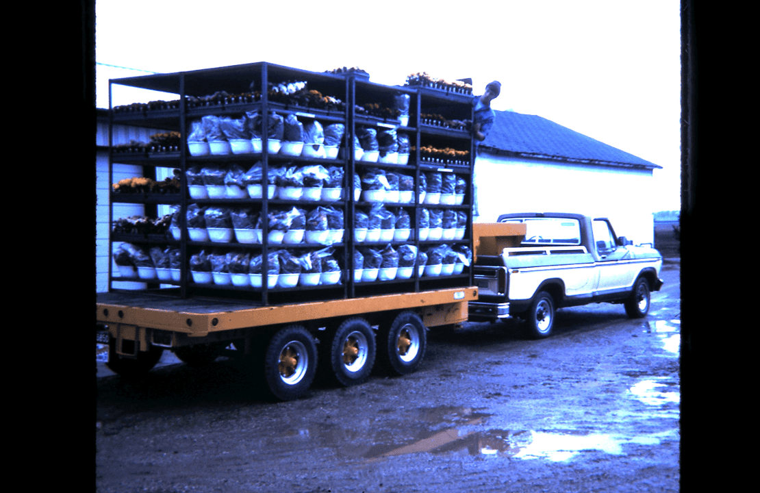 Full racks ready for delivery