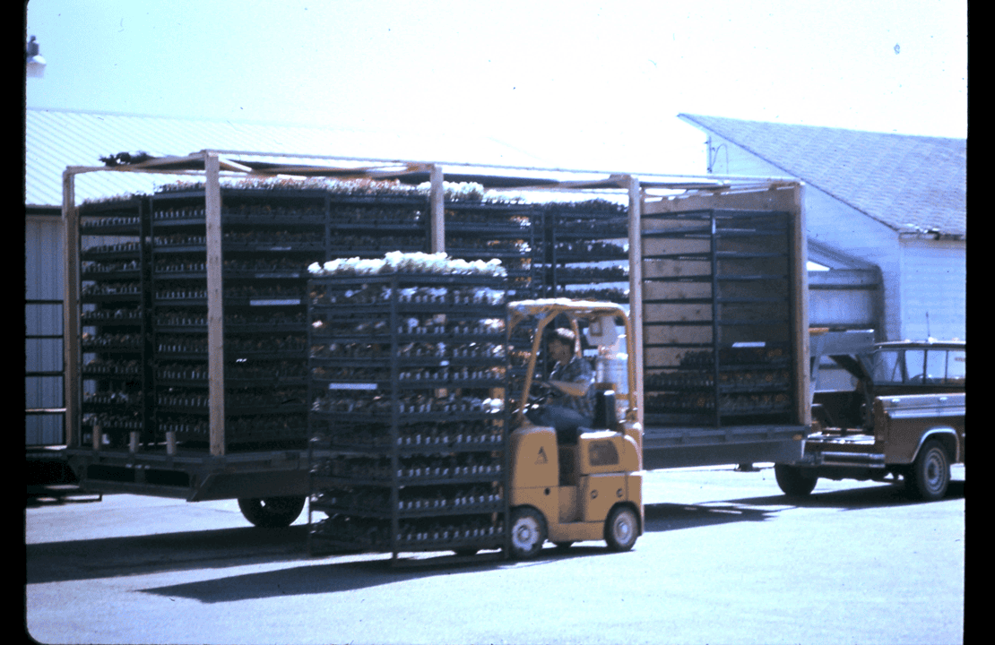 Loading new trailer