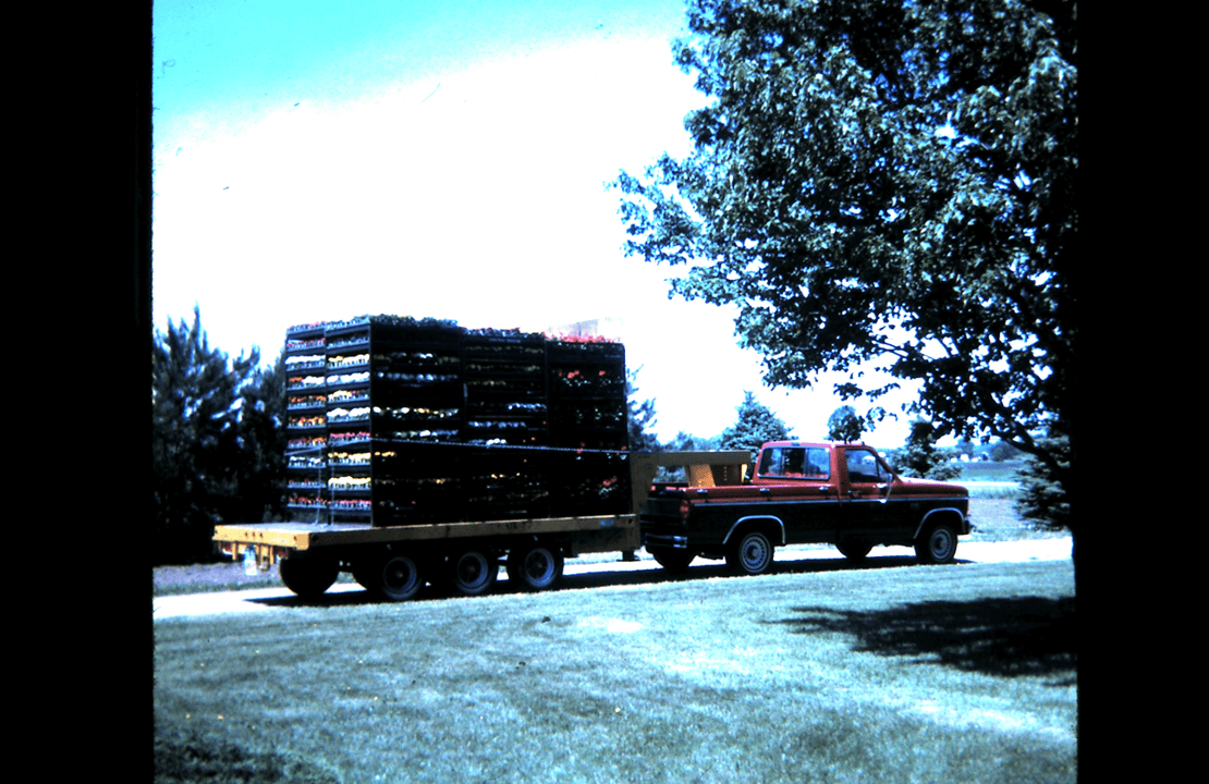 Pick-up truck loaded
