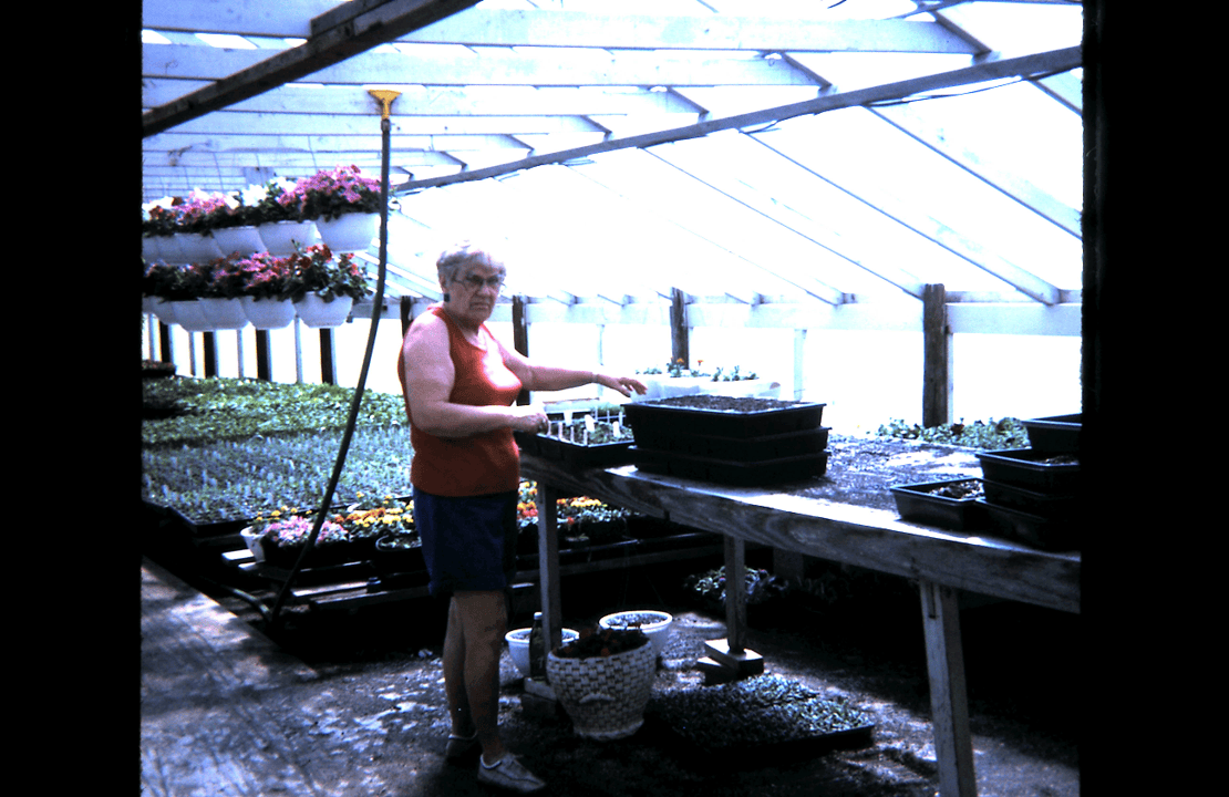 Planting