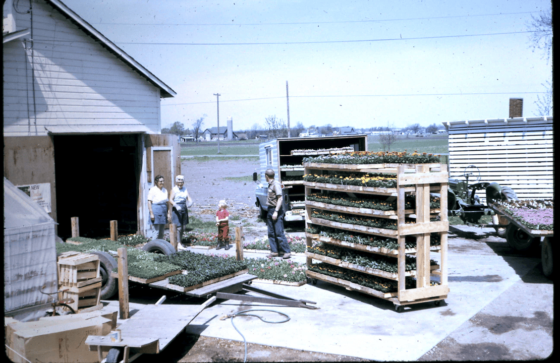 loading plants by the onion barn