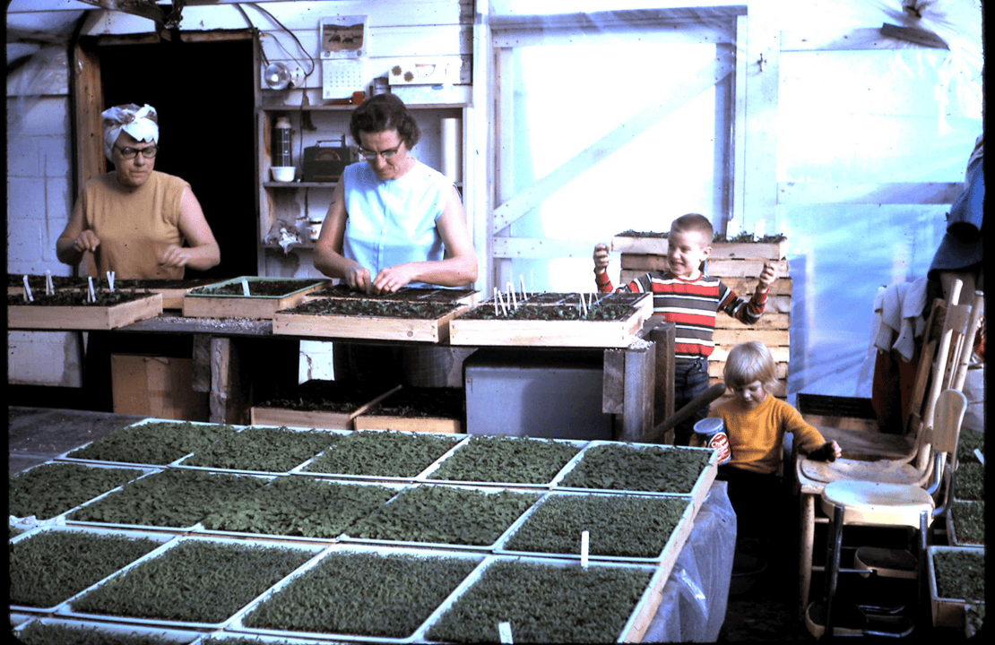 Planting in the 2nd house