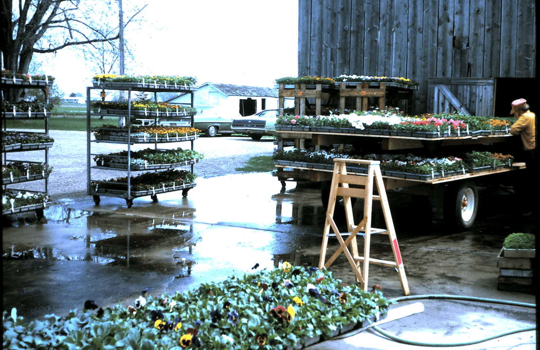 Plants by red barn